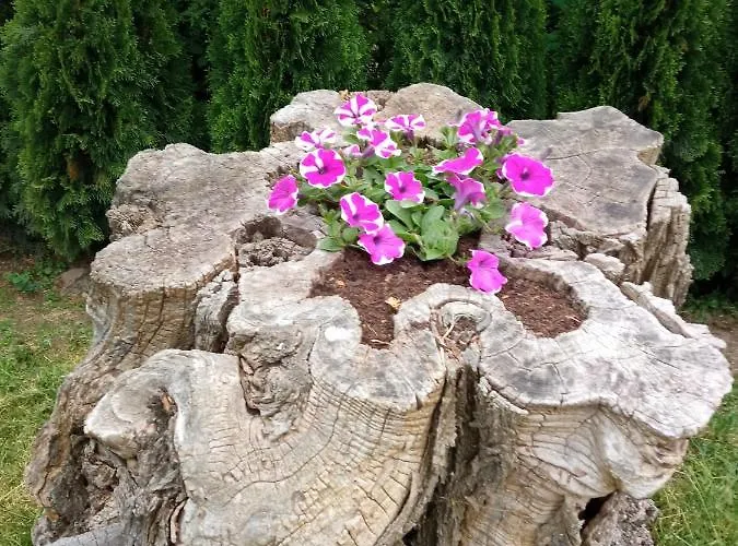 Cely Rodinny Dum Na Venkove فيلة Kouřim