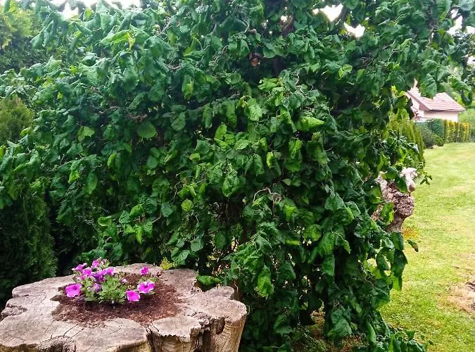 Cely Rodinny Dum Na Venkove